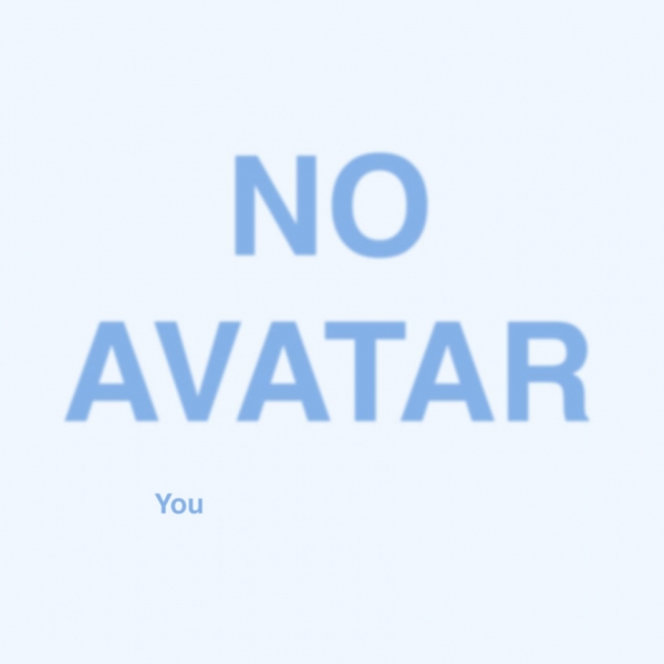 Creation of No avatar: Step 11